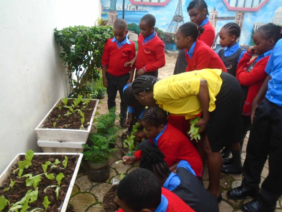 Akwi Montessori School Fee Structure 2025 2026: A Comprehensive Guide