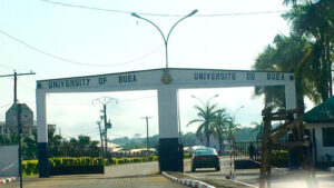 Private vs Public Universities in Cameroon - bigmanschools