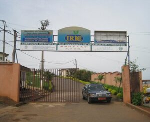 International Relations Institute of Cameroon (IRIC) - bigmanschools